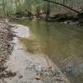 Chimney Top Creek - Koomer Ridge Trail - 3